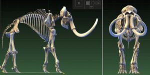 Paleontologists use 3D scanning to capture data on fossils of extinct species, such as the mammoth (Source: Autodesk)